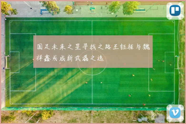 国足未来之星寻找之路王钰栋与魏祥鑫或成新武磊之选